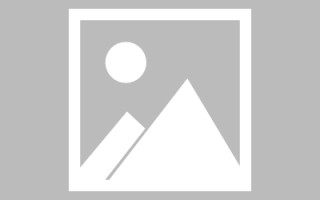 樟树蚌埠企业网站搭建（蚌埠做网站的公司）